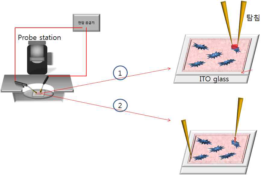 Probe station을 이용한 전기 천공 모식도