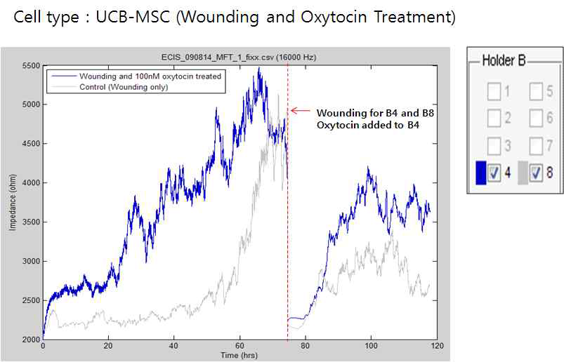 hUCB-MSC 에 wounding을 주고 Oxytocin 처리 후 healing 효과를 impedance 로 측정한 그래프