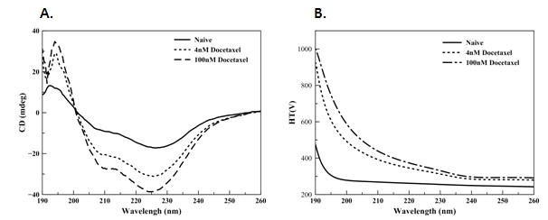 MDA-MB-231 cell에 Docetaxel 처리 후 Far-UV CD spectrum 과 HT[V]