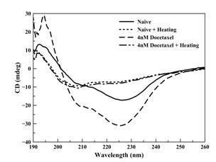 MDA-MB-231 cell에 100℃ heating 후 Far-UV CD spectrum