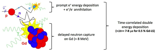 Schematic diagram for inverse beta decay in Gd-loaded liquid scintillator