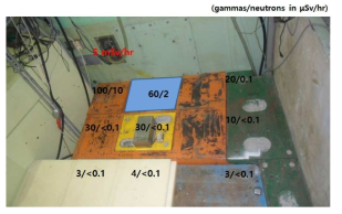 Dose of Background Radiations