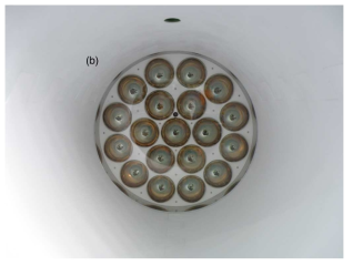 Picture of inside of the detector. The white is teflon reflectors