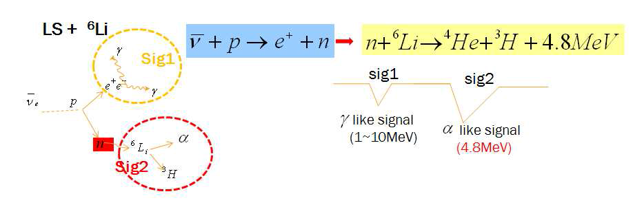 n + 6Li → 4He + 3H + 4.8MeV 반응과정. Gd를 용해할 경우는 (γ-γ) 형태의 신호를 얻지만, 6Li을 용해하면 (γ-a) 형태의 신호를 얻을 수 있어, 배경사건 제거에 도움을 받을 수 있다