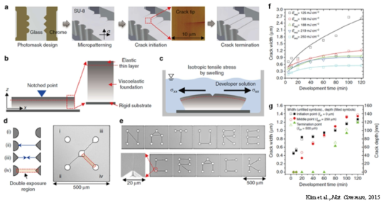 “크랙 포토리소그래피” 공정기술의 개발결과. (a-c) 공정과정 및 팽윤현상 기반의 크랙 생성 원리 모식도. (d-e) 나노크랙의 생성결과. (f-g) 다양한 포토리소그래피 공정조건에서의 크랙 형상 제어
