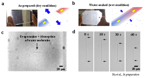 PDMS 재질의 마이크로/나노유체장치의 요소장치 개발결과. (a, c) 건조환경에서의 나노채널 내부 유체의 거동 모식도 및 관측결과. (b, d) 다습 환경에서의 나노채널 내부의 유체 유동 모식도 및 관측결과. 시간에 따라 나노채널 내부의 습윤현상으로 인해 공기역역이 줄어듬을 확인. 이를 이용하여 해당 장치를 시간차 나노채널 밸브로의 적용이 가능