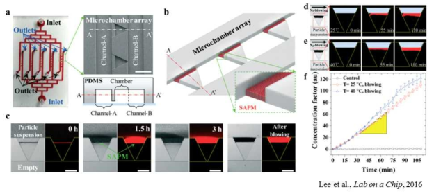 미세입자의 자가조립 현상 기반 미세유체 샘플 집적기의 개발 결과. (a-b) 미세유체장치의 관측결과 및 자가조립 분리막의 모식도. (c) 미세입제의 자가조립 현상에 따른 분리막의 생성 관측결과. (d-f) 액체 증발현상을 이용한 마이크로 샘를 집적실험의 관측 및 정량적 분석 결과