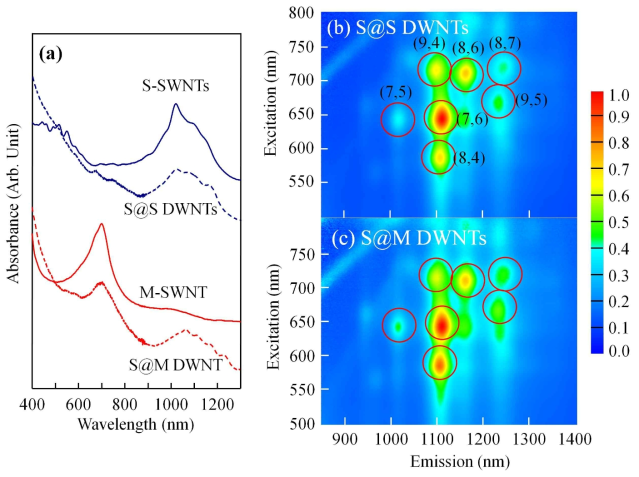 (a) UV-visible absorption spectra of the hosting SWNT and peapod-grown DWNT suspensions and two-dimensional PL maps of the (b) S@S and (c) S@M DWNT suspensions. Note that the DWNT sample was prepared by thermally treating peapods at 1800 °C in argon. Both suspensions exhibited bright PL, irrespective of the electronic structure of the outer tubes. The color represents the photoluminescence intensity on a linear scale, shown on the right. The open circles show the locations of all peaks, where the values of (n, m) indicate the chirality of the nanotube