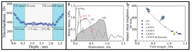 Surface mechanical attrition treatment (SMAT) 공정으로 제작된 구배구조의 향상된 전단 물성