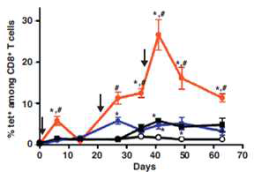 항원교차제시에 의해 유도된 CD8+ T 세포 활성 측정