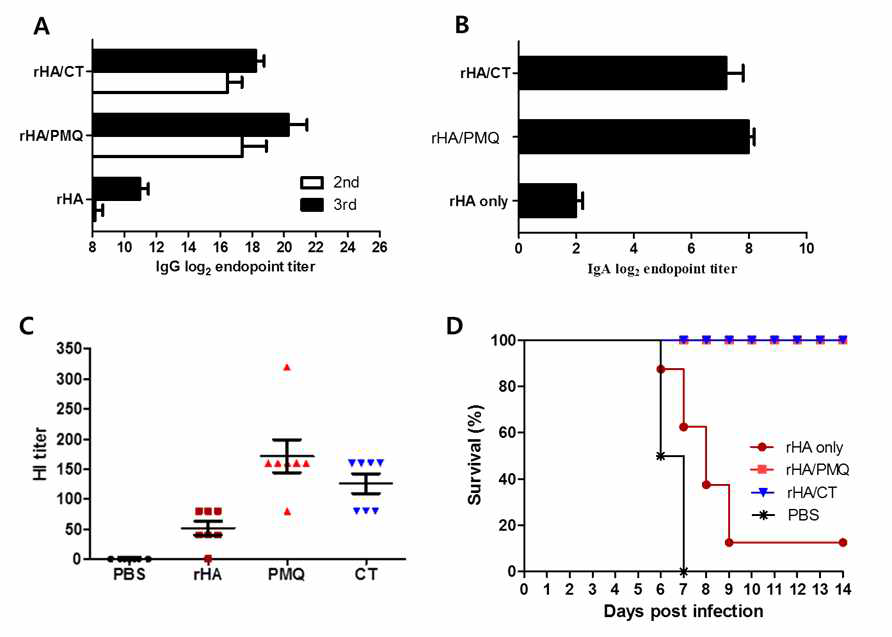 PMQ 아주번트와 인플루엔자 A 바이러스 항원(재조합 단백질 HA)이 주입된 마우스에서의 항체가, 중화항체 유도능 및 생존율