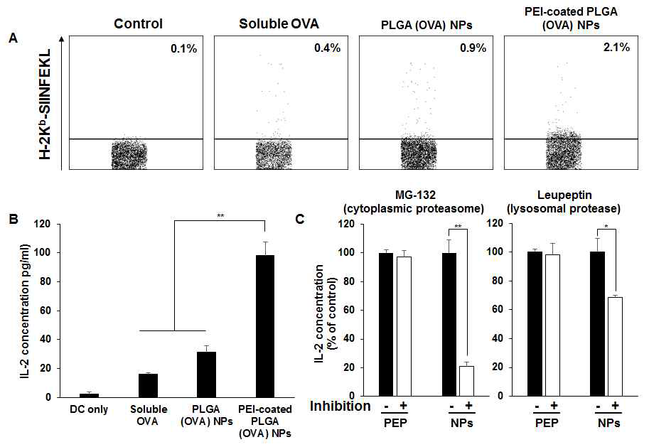 나노파티클에 따른 펩타이드 발현과 IL-2 사이토카인 비교, 프로테아좀과 프로테아제를 사용하였을 때 IL-2 사이토카인 비교