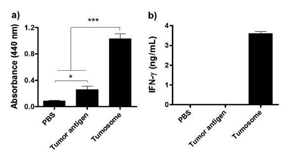 재구성 나노리포좀 (Tumosome)의 세포독성 활성화 효과 측정