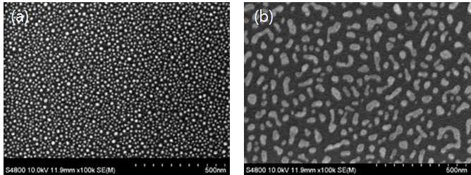 RTA 처리한 Au 박막의 SEM 표면 이미지 (a)두께 3 nm (b)두께 5 nm