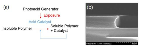(a)FEP-171 반응과정 모식도 (b)FEP-171 현상 과정 후 단면 전자현미경 사진