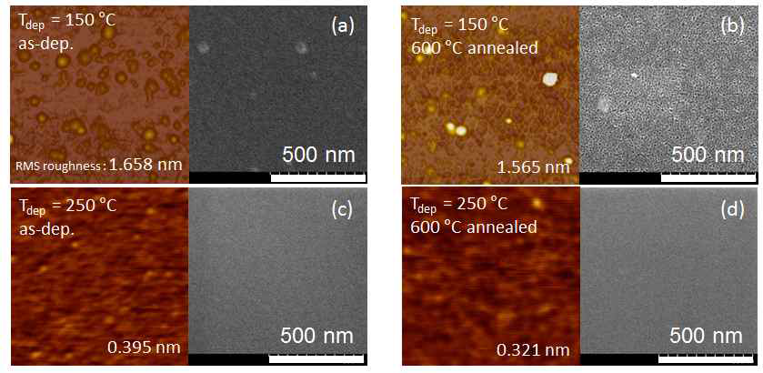 ALD ZnSnO 박막의 증착 온도 및 후열처리 온도에 따른 박막 표면 AFM/SEM 이미지; 증착온도 150℃에서의 600℃ 후열처리 (a)전과 (b)후, 증착온도 250℃에서의 600℃ 후열처리 (c)전 과 (d)후