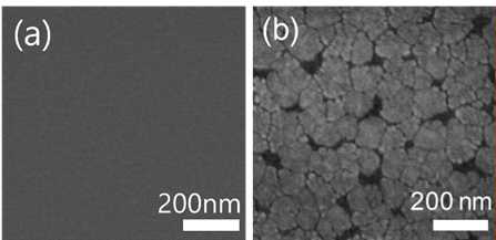 열처리한 STO seed layer의 표면 SEM 이미지, (a) 230℃, (b) 370℃