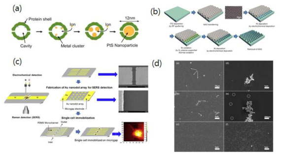 다양한 방법을 이용한 금속 양자점 형성 기술 방법과 형성 과정 모식도 (a)Bio-Nano Process (b)Anodized Aluminium Oxide (c)Physical Vapor Deposition (d)Spin coating