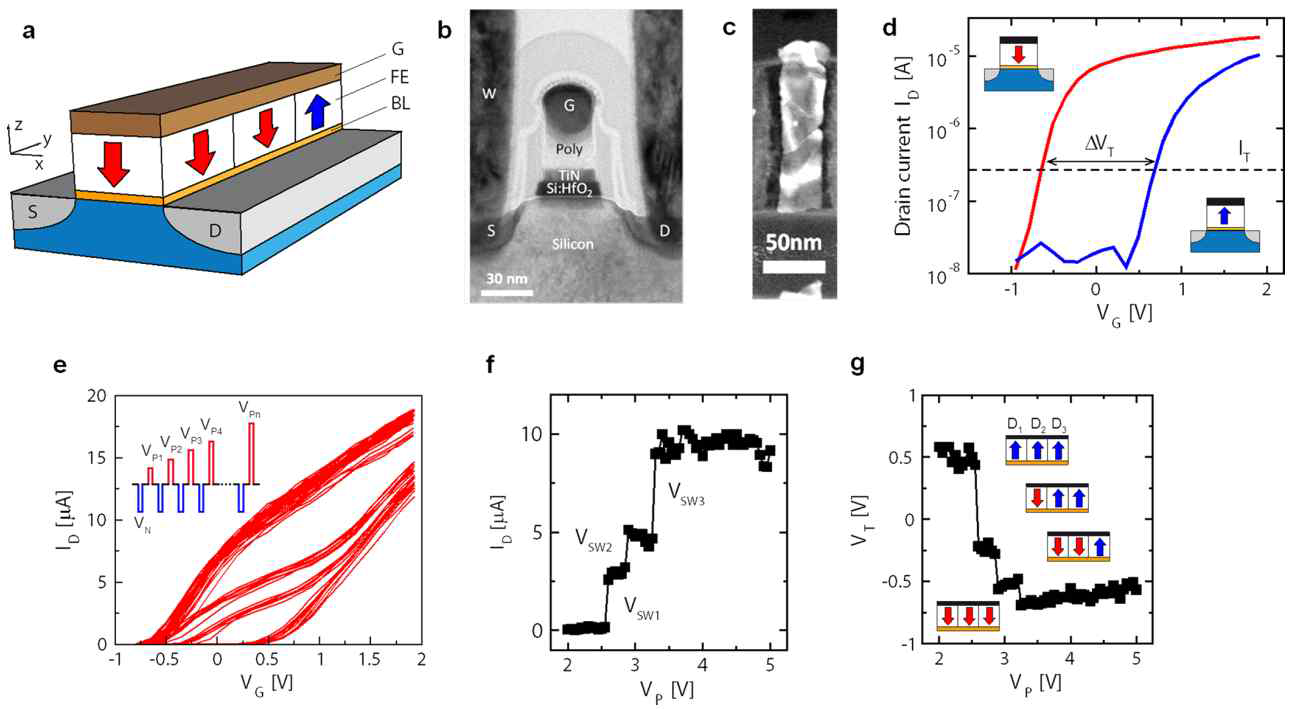 30nm channel length를 갖는 1T FeFET 소자 구조 및 동작 특성