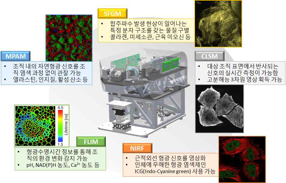 실시간 생체 현미경 및 내시현미경의 요소 현미경 기술