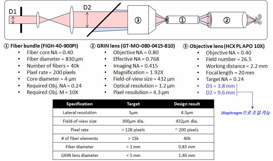 내시현미경 프로브 광학계의 설계 결과 및 분석