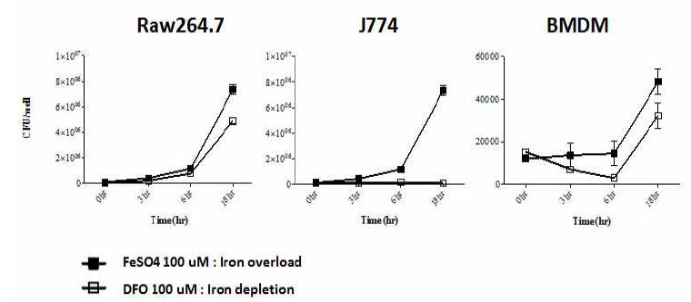 Intramacrophage survival and replication of salmonella within different iron condition (Raw264.7, J774, BMDM)