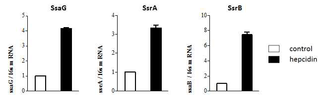 Virulence gene expression (SPI2) profile of salmonella in macrophage(Raw264.7) 3hr post infection with hepcidin treatment