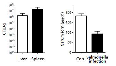 Viable counts of liver and spleen from BL6/J mice after salmonella infection (3 day post infection with oral route) and serum iron