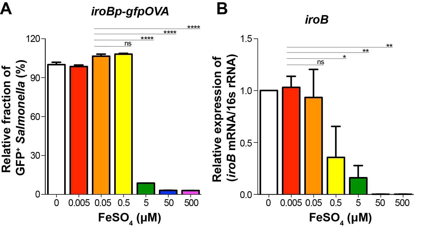 Expression of iroBp-gfpOVA at 2 hr p.i. in Salmonella in RPMI1640. Fluorometer(A), RNA level (B)