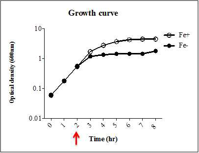 WT salmonella (SL1344) growth in LB, treatment of iron chelator (red arrow) by 0.2 mM 2,2-dipyridyl, open circle : control, close circle : Iron chelator