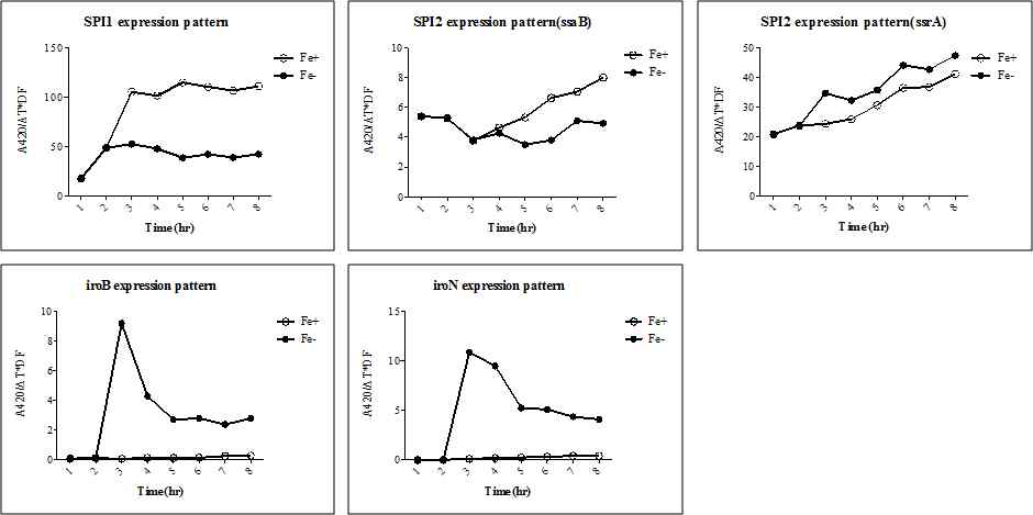 SPI1, 2 gene expression with iron restriction after inoculation 2hr later Iron chelator by 0.2 mM 2,2-dipyridyl, open circle : control, close circle : Iron chelator