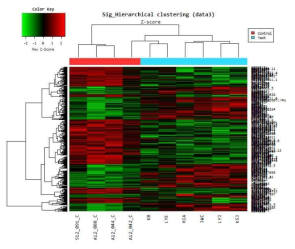 정상군과 아토피피부염군의 colonocyte mRNA microarray clustering