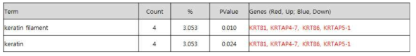 Keratin과 관련된 유전자