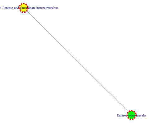 microbiome-metagenome shotgun 2-way 분석