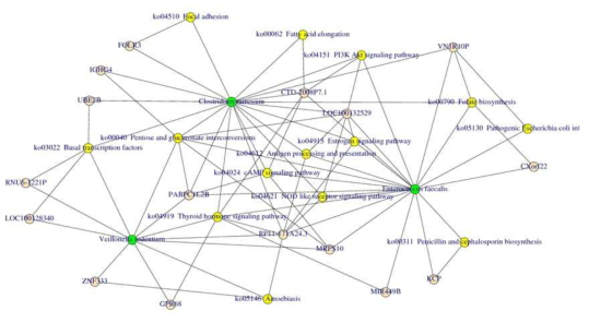 microbiome-metagenome shotgun-microarray 3-way 분석