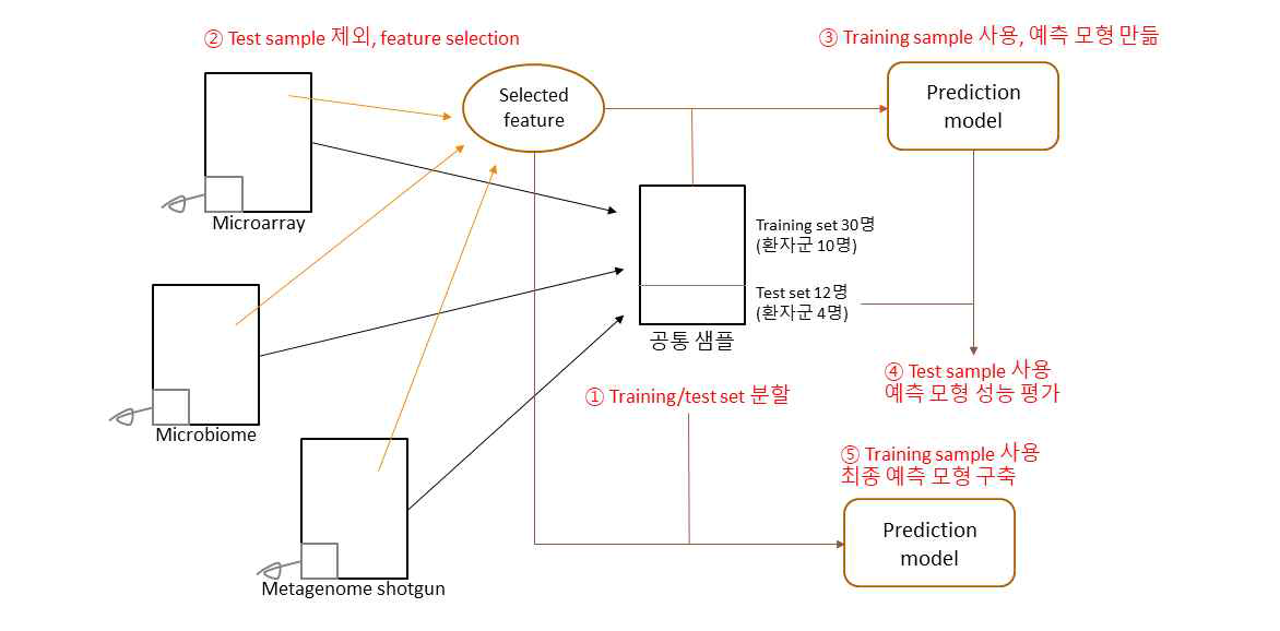 도식화한 분석 개요