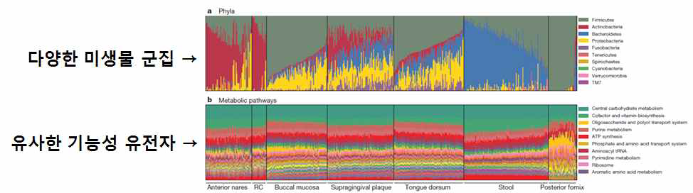 신체부위에 따라 서로 다른 미생물 군집 구성과 metabolic pathway gene 구성
