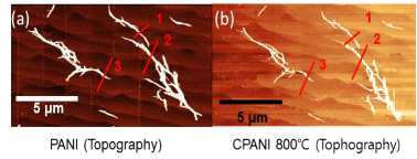 (a) 그래핀 전극 위에 폴리아닐린 (PANI) 나노 섬유가 올려져 있는 것을 보여 주는 원자힘현미경 (Atomic Force Microscope) 지형 (topography) 이미지. (b) (a)를 800 ℃에서 탄화시킨 후의 원자힘현미경 지형 이미지