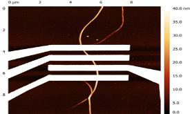 SiO2 기판 위에서 탄화된 단일 폴리아세틸렌 나노 섬유와 그 위에 패턴된 Ti/Au 전극