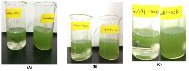 GHW의 분자량 변화와 시간에 따른 녹조 방제 효과(0.064 mg/mL). (A; 5 min, B; 10 min, C; 15min)
