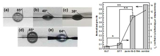 (좌측) (a) 순수 그래핀 종이, (b, c) 그래핀-레피도크로사이트 구조 티탄산화물 하이브리드 종이, (d, e) 그래핀-트리티타네이트 구조 티탄산화물 하이브리드 종이의 접촉각 측정 결과, (우측) 순수 그래핀 종이 (pure rGO film), 그래핀-레피도크로사이트 구조 티탄산화물 하이브리드 종이 (GLT), 그래핀-트리티타네이트 구조 티탄산화물 하이브리드 종이 (GTT) 의 녹조성장 억제결과