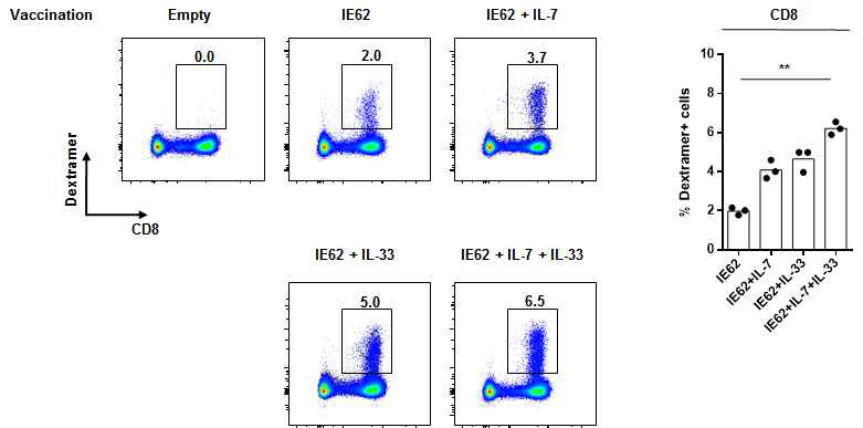 IL-7 또는 IL-33 유전자를 코딩하는 DNA를 백신 후보물질과 함께 마우스에 투여하고, 유도된 IE-62527-특이 CD8 T세포의 빈도를 측정한 결과