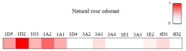 천연 장미향에 대한 인공 후각세포의 반응정도를 수치화하고 시각화