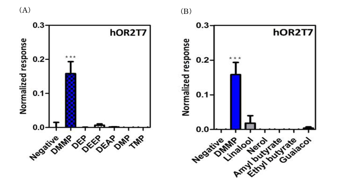 다양한 냄새분자들에 대한 후각 수용체 hOR2T7의 반응