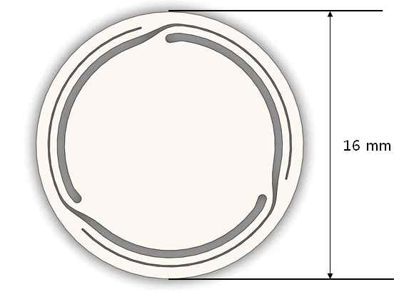 판스프링의 형상 (Thickness = 0.2 mm)