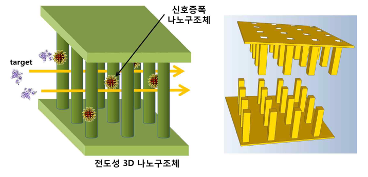 3D 신호증폭 나노구조체 기반 전도성 채널구조 (왼쪽)와 Inter-digitated Electrode 센서 구조 (오른쪽)