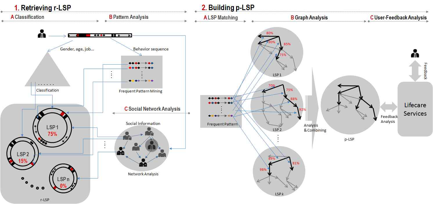 p-LSP Analysis Process