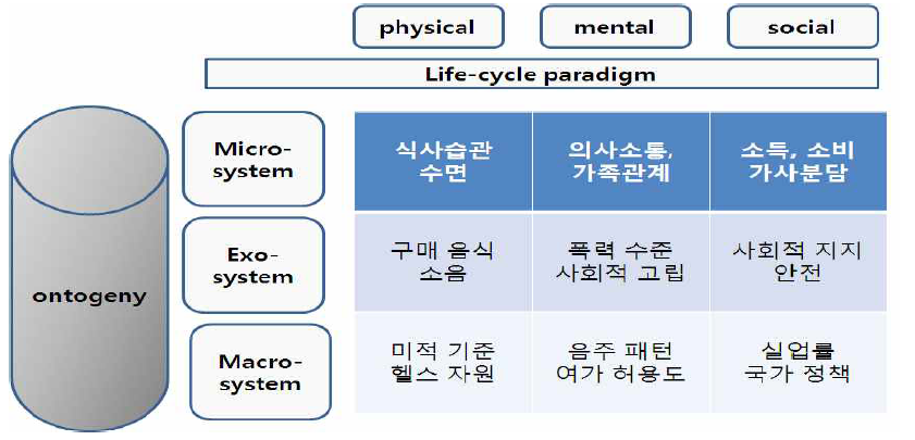 정신심리 사회적 활동케어 모형