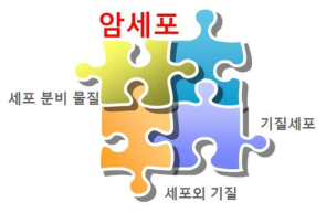 방사선 치료와 종양미세환경의 구성