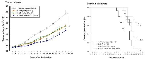 방사선 조사와 유전자 조작 MSCs/IL12의 병행 치료에 의한 종양 성장의 억제 (왼쪽) 및 생존률의 증가 (오른쪽). SIR: 10 Gy single irradiation